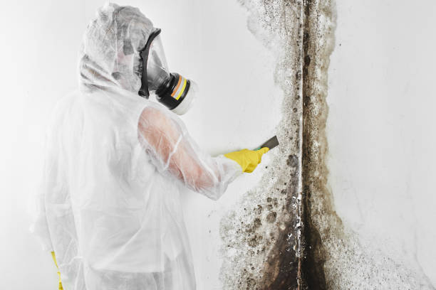 Best Crawl Space Mold Remediation  in Okauchee Lake, WI