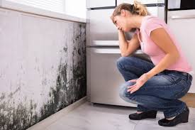 Best Forensic Mold Investigation  in Okauchee Lake, WI